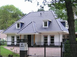 tpl-buddy-009/project-woningen.png